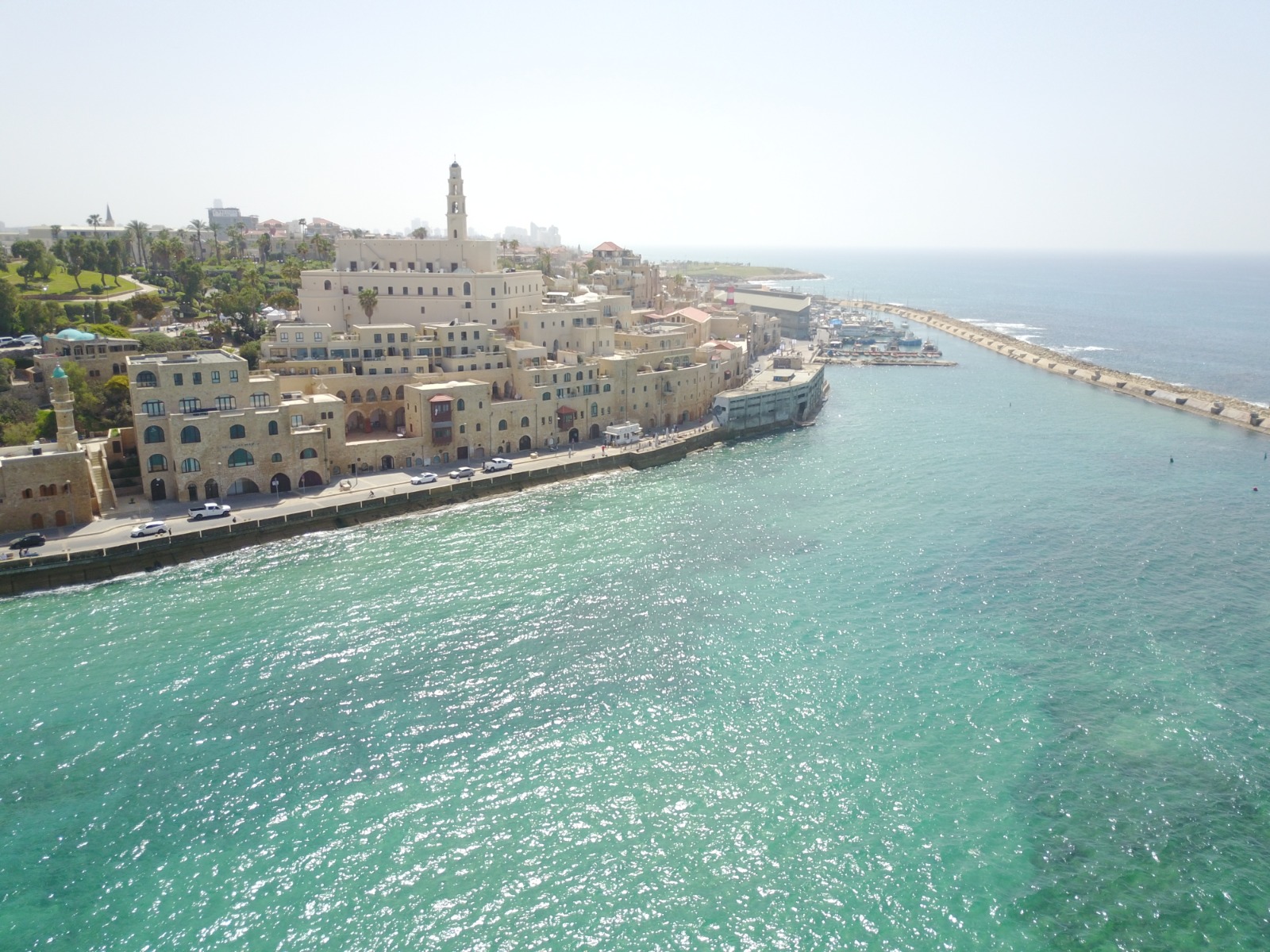 WhatsApp Image 2020-09-02 at 3.39.26 PM.jpeg.jpeg